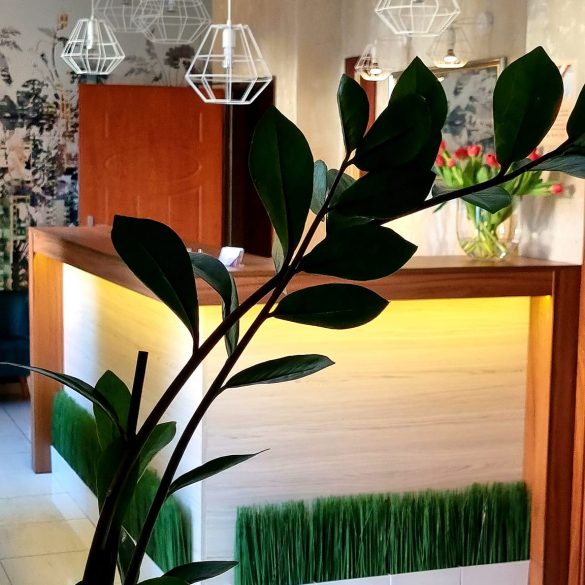 pensjonat-przy-deptaku-polanica8